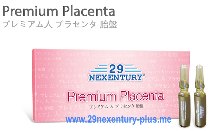 拙作「Placenta」 ZX-1700PN Human Placenta Model with Cord at ₹ 4700/piece